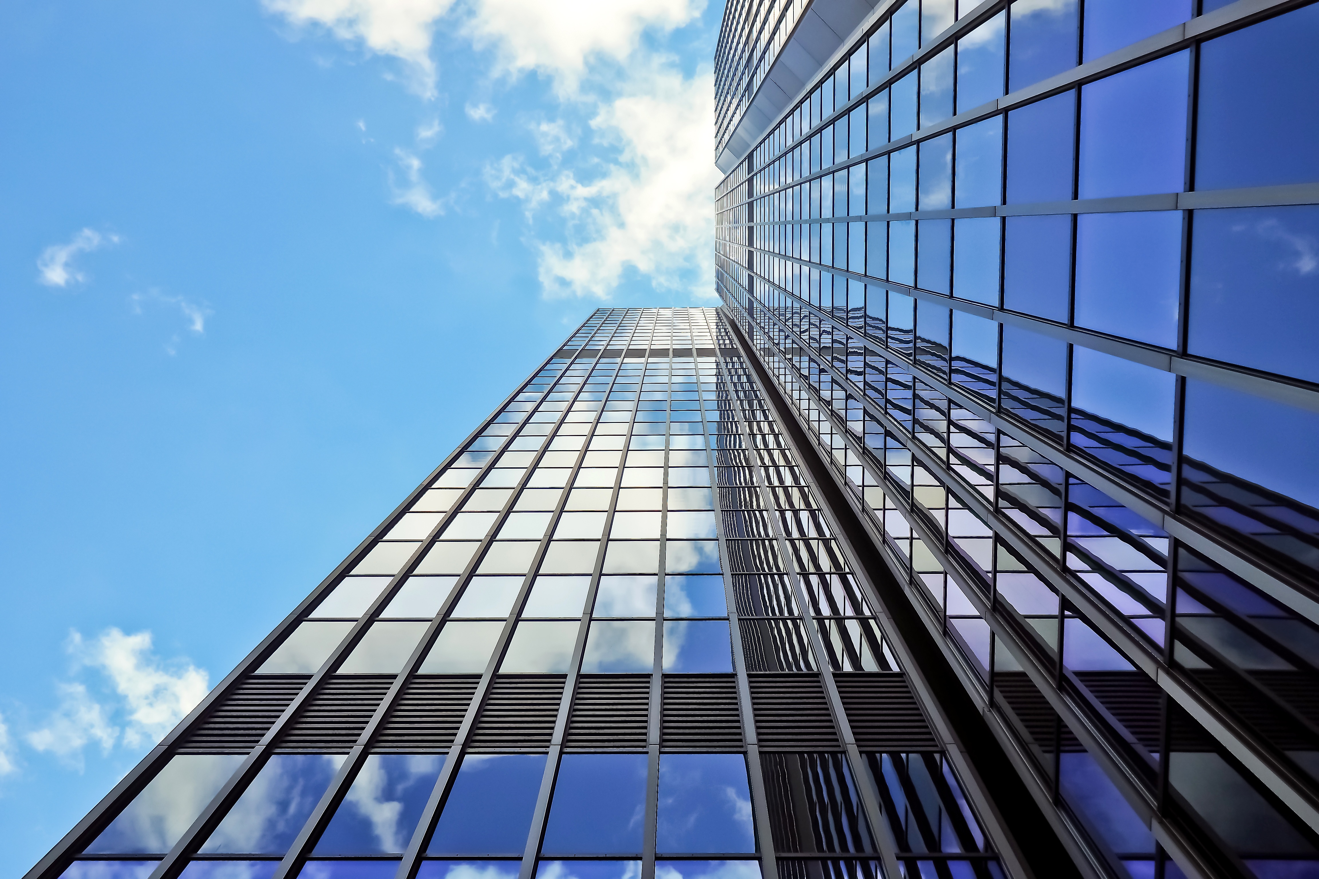 Audit & Assurance